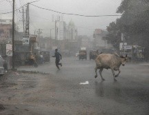 Según su tamaño y ubicación, las tormentas ciclónicas pueden denominarse tornados, trombas de agua, tifones o huracanes. EFE / D. Solanki