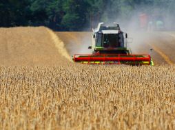 Ucrania es un fuerte país productor de granos y la destrucción de sus cultivos afecta a diversos países. AFP / ARCHIVO