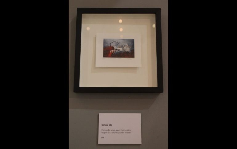 Durante la inauguración, artistas, amigos e invitados especiales atestiguaron el proyecto artístico, además hubo un cóctel y luego de que las personas recorrieran dicha muestra. EL INFORMADOR / A. Camacho