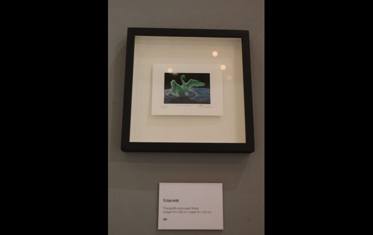 Durante la inauguración, artistas, amigos e invitados especiales atestiguaron el proyecto artístico, además hubo un cóctel y luego de que las personas recorrieran dicha muestra. EL INFORMADOR / A. Camacho