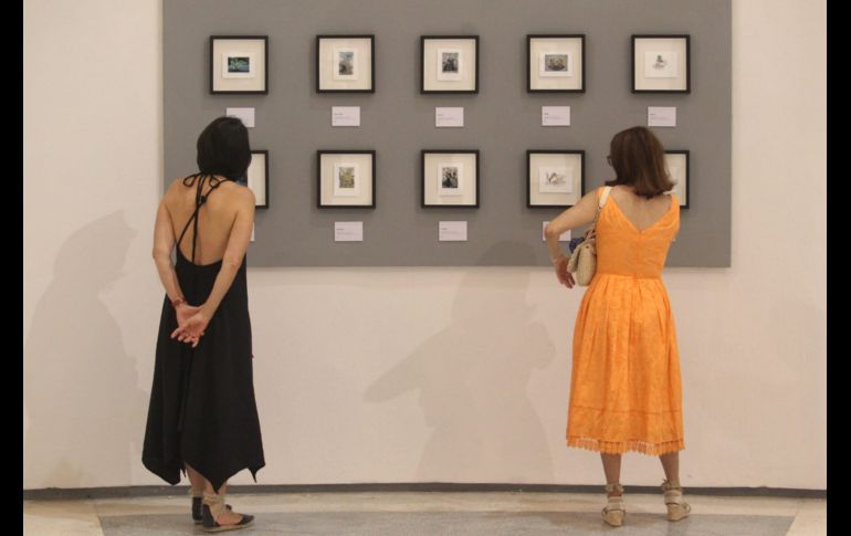Durante la inauguración, artistas, amigos e invitados especiales atestiguaron el proyecto artístico, además hubo un cóctel y luego de que las personas recorrieran dicha muestra. EL INFORMADOR / A. Camacho