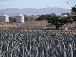 Además de industrias tradicionales, hay polos con nuevos desarrollos. EL INFORMADOR/Archivo