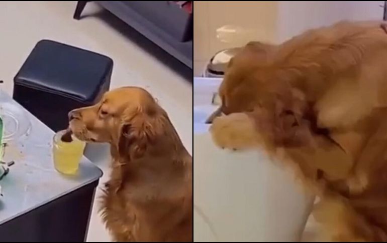 El video fue publicado en Tik Tok y  se hizo viral al momento. ESPECIAL