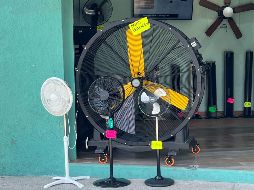 Los ventiladores se han convertido en un objeto de primera necesidad, debido a la ola de calor que se registra en el país. EL INFORMADOR/A. Navarro