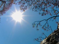 Muere otra persona a causa del intenso calor