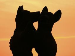 Sorpresa veraniega en Colima