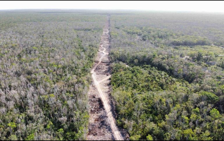 El Tren Maya ha sido uno de los proyectos más polémicos del sexenio de Obrador. SUN/ ARCHIVO