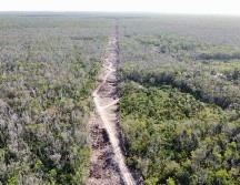 El Tren Maya ha sido uno de los proyectos más polémicos del sexenio de Obrador. SUN/ ARCHIVO