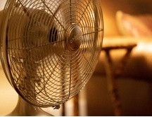 Casi la mitad del país puede registrar temperaturas de hasta 49 grados celsius. ARCHIVO