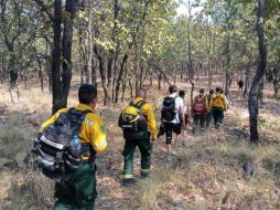 El operativo de rescate involucró al personal de la OPD Bosque de la Primavera, el EscuaDRON, el Escuadrón aerotáctico, Unidad Municipal de Protección Civil y Bomberos de Zapopan y el OPD Bosque La Primavera. CORTESÍA