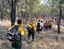 El operativo de rescate involucró al personal de la OPD Bosque de la Primavera, el EscuaDRON, el Escuadrón aerotáctico, Unidad Municipal de Protección Civil y Bomberos de Zapopan y el OPD Bosque La Primavera. CORTESÍA