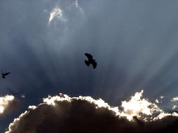 El pronóstico del clima para Guadalajara contempla cielo nuclado. EL INFORMADOR / ARCHIVO