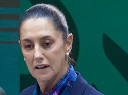 ''Nosotros lo que estamos haciendo es recorrer el país para ser un reconocimiento de la defensa y difusión'', señaló la exjefa de gobierno. SUN / ARCHIVO