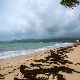 Se forma la tormenta tropical "Cindy" en el Atlántico; esta será su trayectoria