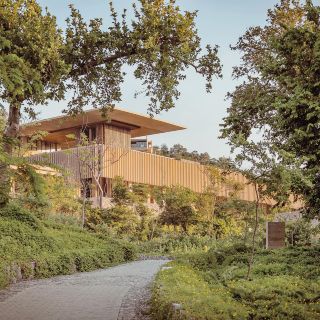 Descanso con aroma a Tamarindo