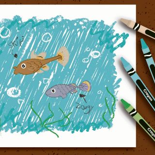 Teuchitlán y sus peces endémicos: una lucha por la sobrevivencia