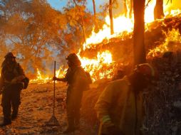 Elementos de Conafor, Semadet, OPD Bosque de La Primavera y Bomberos de Zapopan combaten el incendio forestal. ESPECIAL