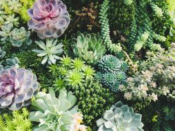 Foto de Yen Vu en Unsplash