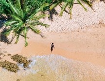 El festival de verano 