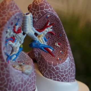 Prueban fármaco para la fibrosis pulmonar desarrollado por inteligencia artificial