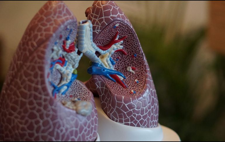 El mercado de desarrollos farmacéuticos a través de IA presenta un amplio potencial, de acuerdo a los expertos. ESPECIAL/ Unsplash