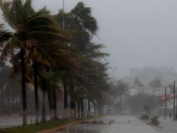 A principios de mayo, el Gobierno de México pronosticó la posible formación de hasta 38 ciclones con nombre en la temporada 2023, de los que cinco podrían impactar al país. SUN / ARCHIVO