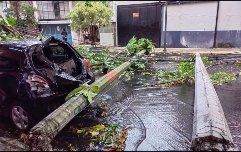 En Morelos y Lope de Vega, en Guadalajara, cayeron un árbol y dos postes de luz. ESPECIAL