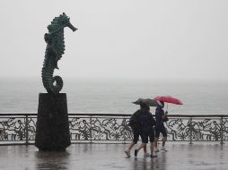 Por la tarde, persistirán condiciones para lluvias puntuales intensas en Jalisco, Colima y Michoacán. EFE / ARCHIVO