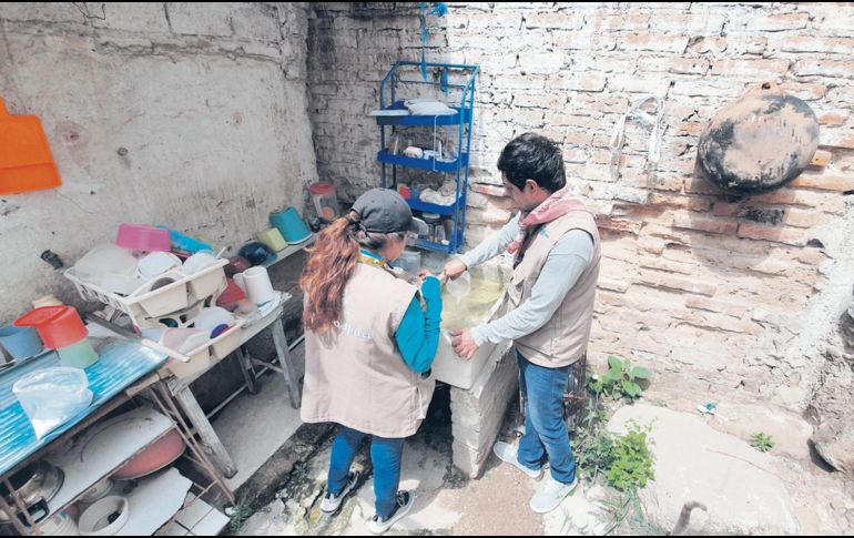 Hasta el momento van 410 colonias intervenidas y 95 mil 442 hectáreas nebulizadas. EL INFORMADOR