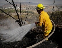 La Primavera es víctima constante de imprudencias humanas. EL INFORMADOR/ ARCHIVO