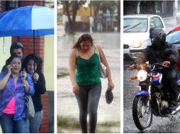 El mes con más días con solo lluvia en Guadalajara es julio, con un promedio de 24.1 días. EL INFORMADOR / ARCHIVO