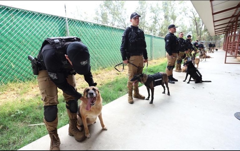 Fueron dados en donación 19 perros y un caballo que se jubilaron en Guadalajara. ESPECIAL