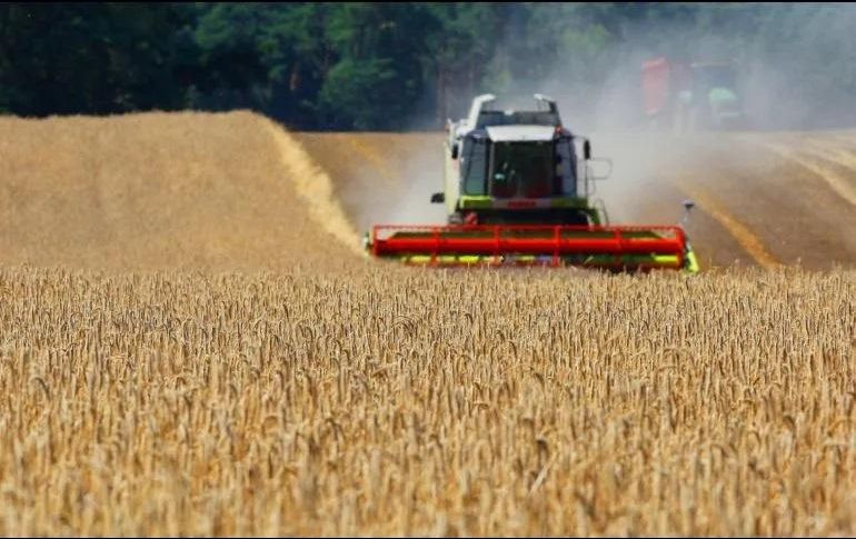 A pesar de la injerencia de la ONU, continúan los problemas con las transacciones financieras de los bancos agrícolas de ambas naciones. AFP/ Archivo