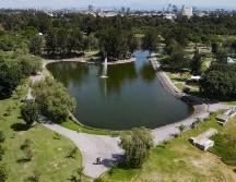 El evento se celebrará a partir de las 09:00 y hasta las 13:00 horas gracias a Bosque Urbano de Extra A.C. EL INFORMADOR / ARCHIVO