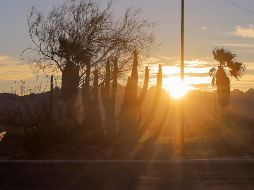 La temperatura global promedio sobre la superficie del planeta marcó el martes 4 de julio el récord de 17.18 grados Celsius. SUN / ARCHIVO