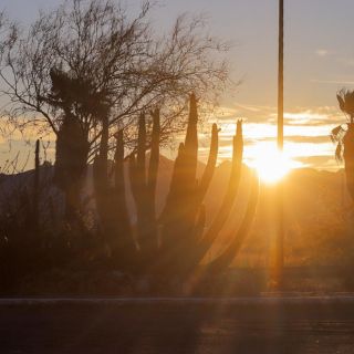 La Tierra registró el 4 de julio la temperatura promedio más alta de la historia