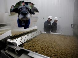 En materia de alimento, los perros gozan de una gran oferta en el mercado. AP / ARCHIVO