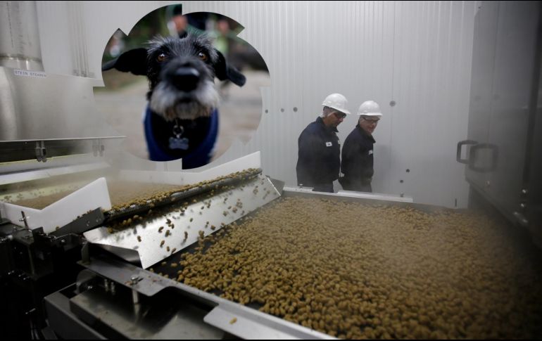 En materia de alimento, los perros gozan de una gran oferta en el mercado. AP / ARCHIVO