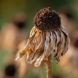 Este fue el junio más cálido en el mundo del que se tiene registro