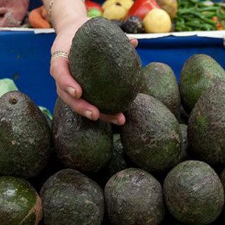 Esta es la relación entre el superpeso y el bajo precio del aguacate