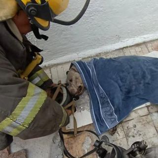 Rescatan a perro pitbull de incendio en una finca de la colonia Atlas