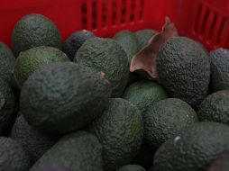 Debido a la baja que ha presentado la inflación a nivel nacional, algunos productos de la canasta básica han disminuido su precio . EL INFORMADOR/ Archivo