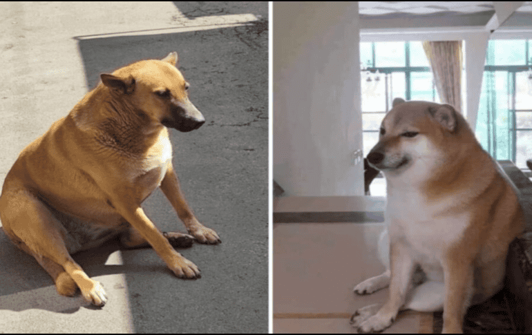 Algunos usuarios compararon a los dos 