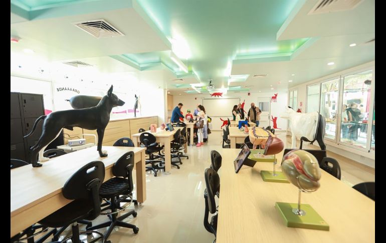 Laboratorio de Veterinaria UVM Campus Zapopan.