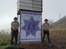 En la reforestación también participaron brigadas juveniles de Guardabosques, académicos de la Comisaría y voluntarios de la Universidad de Guadalajara. CORTESÍA
