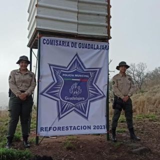 Tras incendios, aprovechan lluvias y reforestan barranca de Oblatos