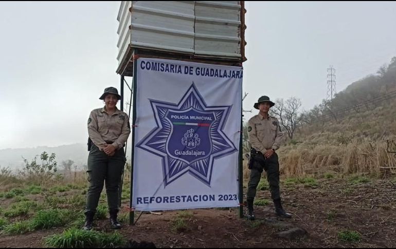 En la reforestación también participaron brigadas juveniles de Guardabosques, académicos de la Comisaría y voluntarios de la Universidad de Guadalajara. CORTESÍA