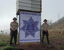En la reforestación también participaron brigadas juveniles de Guardabosques, académicos de la Comisaría y voluntarios de la Universidad de Guadalajara. CORTESÍA
