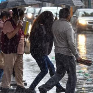 ¿Cuándo entra a México la Onda Tropical 14 y qué estados serán afectados?