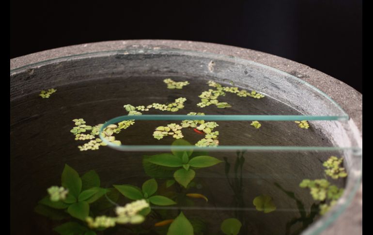 Sergio Carlōn, Este artista autodidacta de 40 años ha dedicado su vida a explorar distintas formas de crear belleza y armonía en el mundo. Su virtud es la fortaleza, que le ha permitido superar los obstáculos y alcanzar sus metas. el arte como forma de vida. CORTESÍA